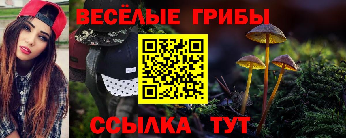 Псилоцибиновые грибы мицелий Арзамас