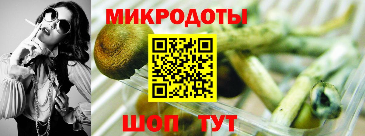 Арзамас  Галлюциногенные грибы прущие грибы  Вход с VPN  Галлюциногенные грибы прущие грибы 